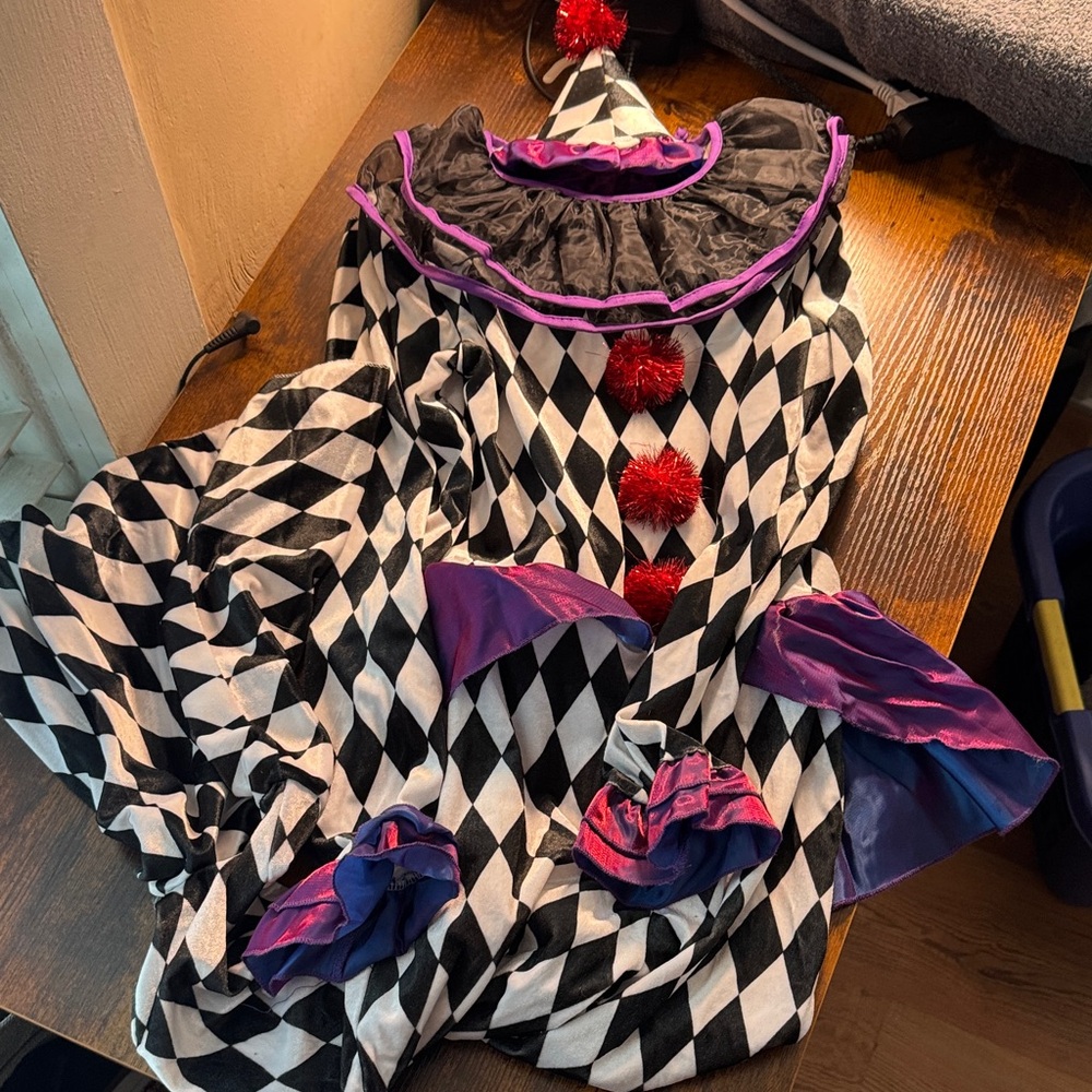 Spirit Black and White Harlequin Clown Costume with Purple Accents